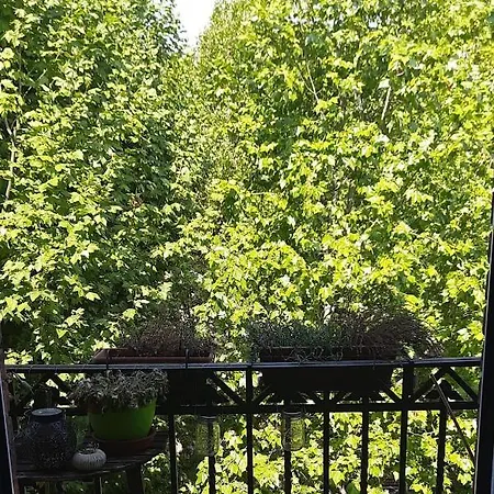 Casa Turati - 10 Min Da Porta Nuova & Inalpi Arena * Torino