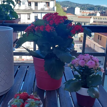 Daire Casa Turati - 10 Min Da Porta Nuova & Inalpi Arena Torino