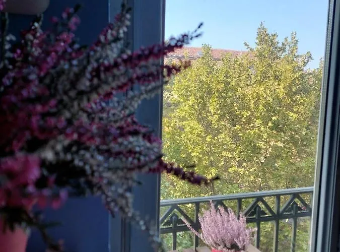 Casa Turati - 10 Min Da Porta Nuova & Inalpi Arena * Turyn