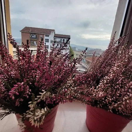 Casa Turati - 10 Min Da Porta Nuova&inalpi Arena * Torino