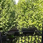 Casa Turati - 10 Min Da Porta Nuova & Inalpi Arena * Torino